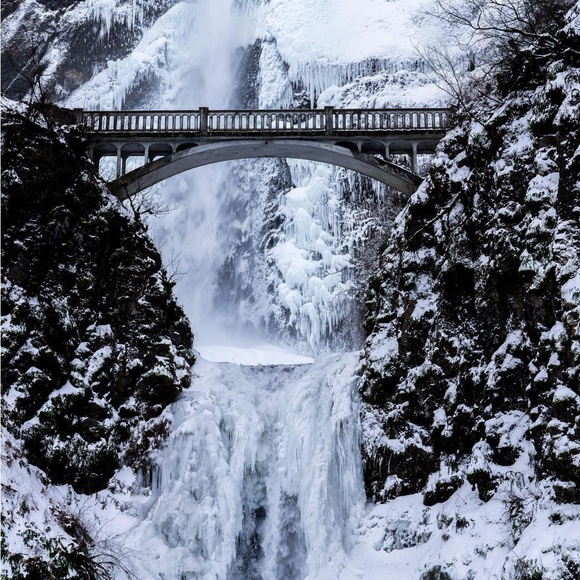 Meet your Posher, Mollie - Picture 3 of 4